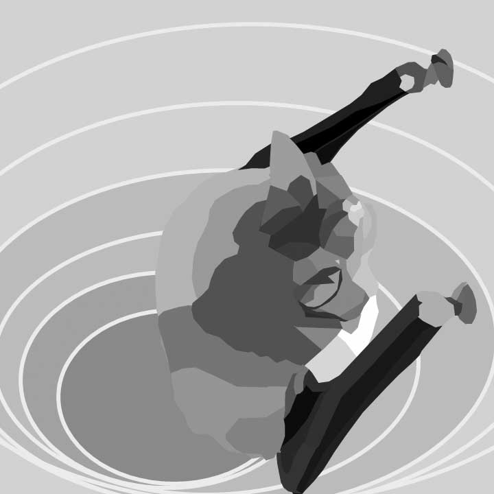 Science videos for everyone?